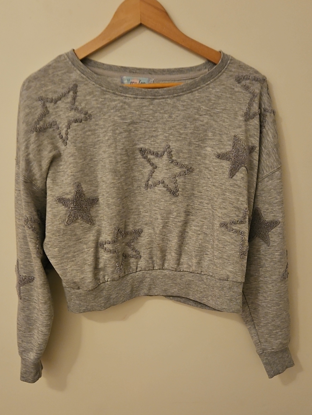 Hippie Rose Gray Star Embroidered Crop Sweatshirt